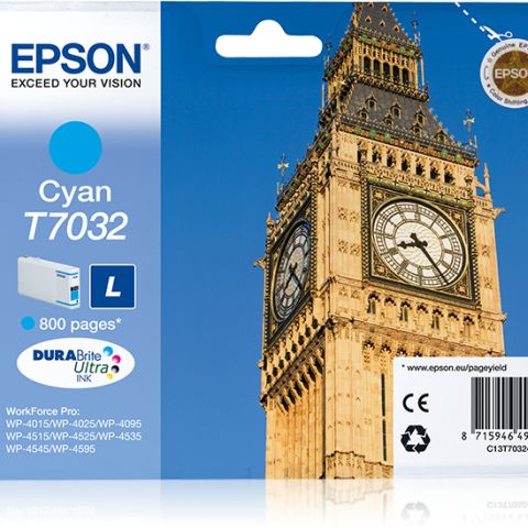Epson T7032