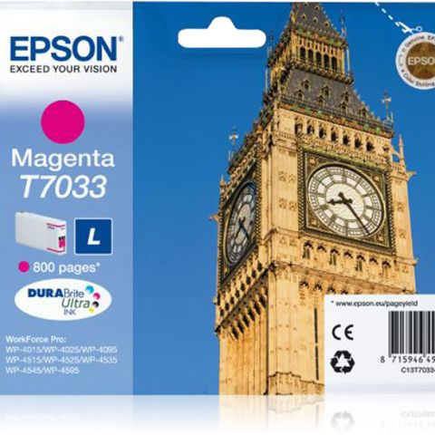 Epson T7033