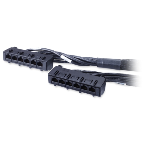 APC 31ft Cat6 UTP, 6x RJ-45 - 6x RJ-45 câble de réseau Noir 9,45 m U/UTP (UTP)