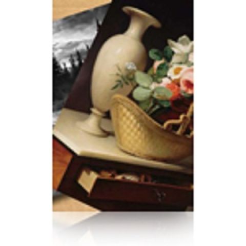 Epson Pap Photo Premium Lustré (260) 260g 60" (1,524x30,5m)