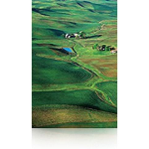 Epson Pap Photo Premium Semi-Glacé (250) 60" (1,524x30,5m)