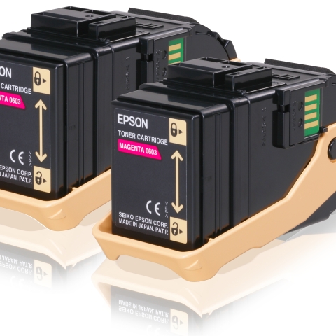 Epson Double Pack
