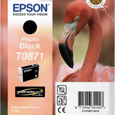 Epson T0871