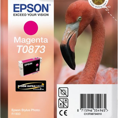 Epson T0873