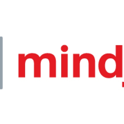 MindManager 1 licence(s) Abonnement 1 année(s)