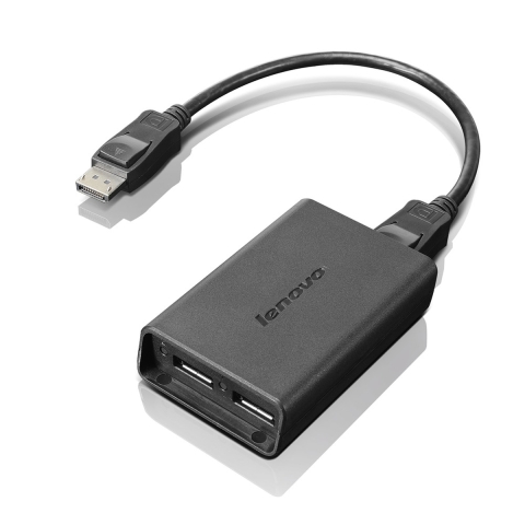 Lenovo DisplayPort to Dual-DisplayPort Monitor Cable câble USB USB A Noir