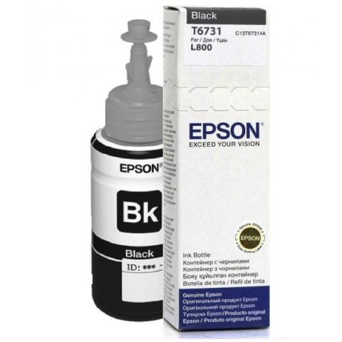 Epson T6731