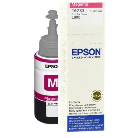 Epson T6733