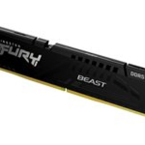 Kingston Technology FURY Beast module de mémoire 16 Go 1 x 16 Go DDR5 5600 MHz