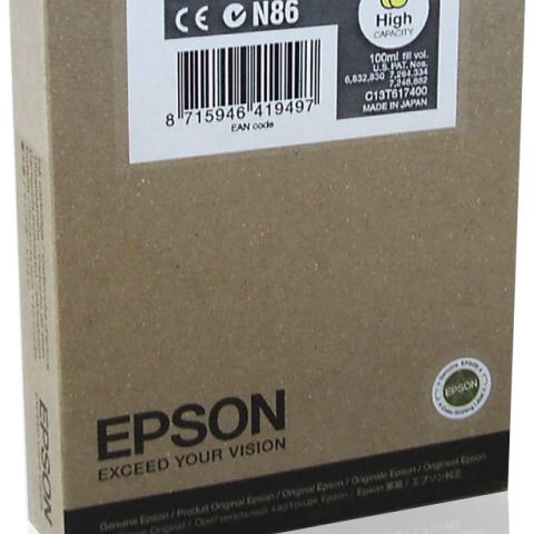 Epson T6174