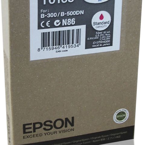 Epson T6163