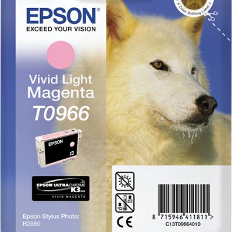 Epson T0966