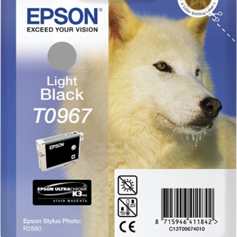 Epson T0967