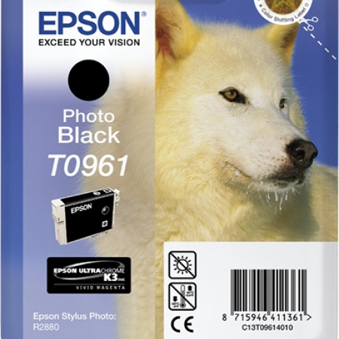 Epson T0961