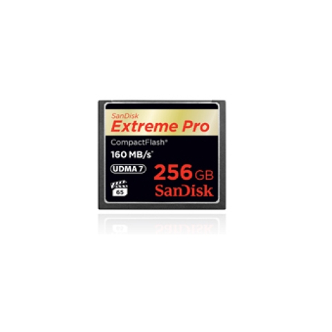 SanDisk Extreme Pro