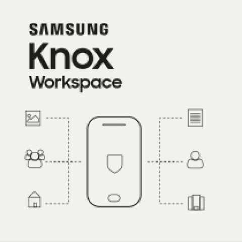 Samsung Knox Workspace 2 Year