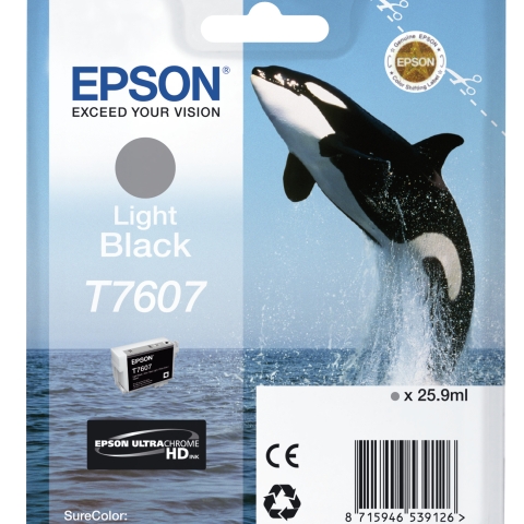 Epson T7607