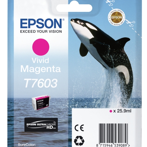 Epson T7603