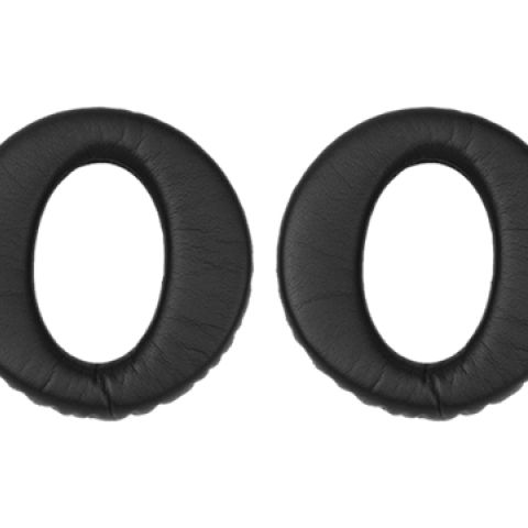 Evolve 80 Ear Cushion (10)