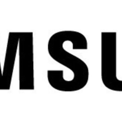 Samsung CY-HDS02B/EN modulateur 75 Ohm Noir