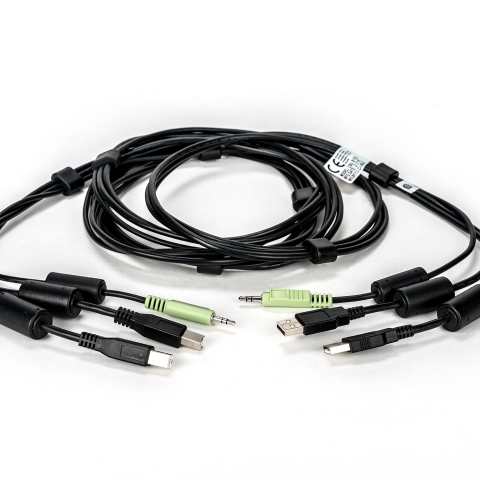 CABLE ASSY 2-USB/1-AUDIO 10FT (SCKM145)