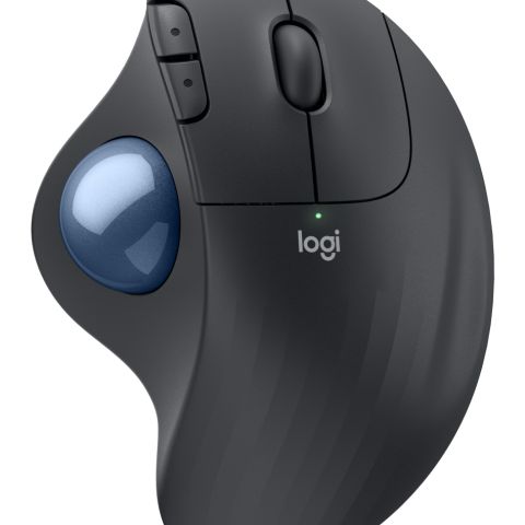 Logitech Ergo M575S souris Bureau Droitier RF sans fil + Bluetooth Trackball 2000 DPI