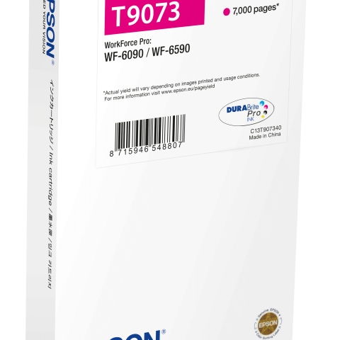 Epson T9073