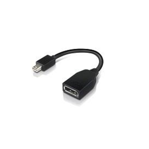 Lenovo 4X90L13971 changeur de genre de câble Mini-DisplayPort DisplayPort Noir