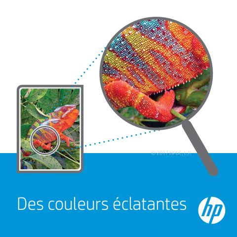 HP 19A