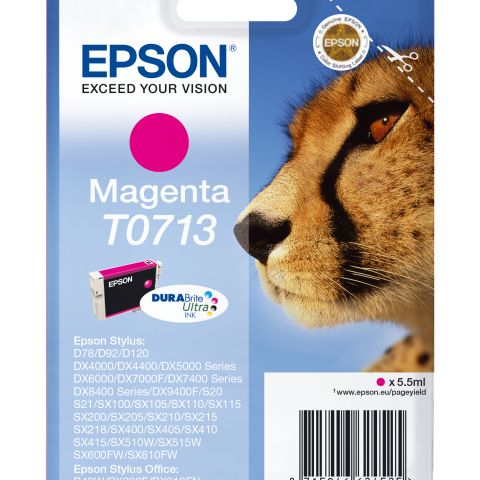 Epson T0713