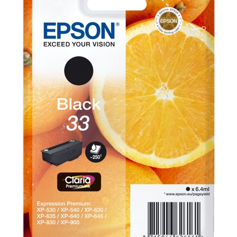Epson 33