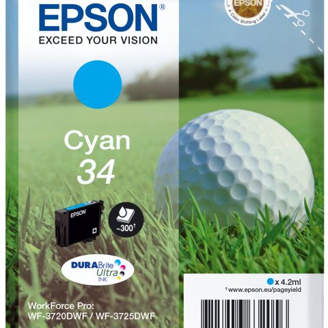 Epson 34