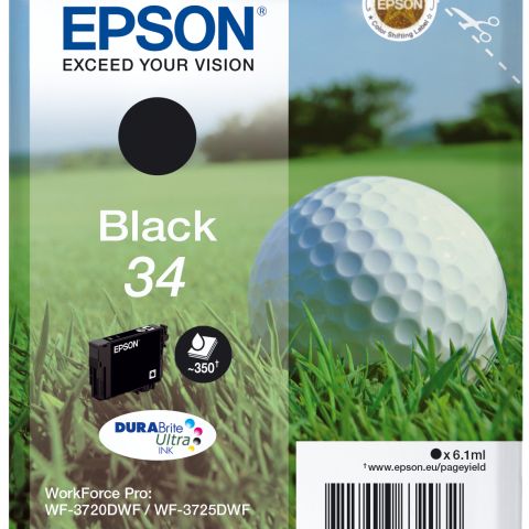 Epson 34