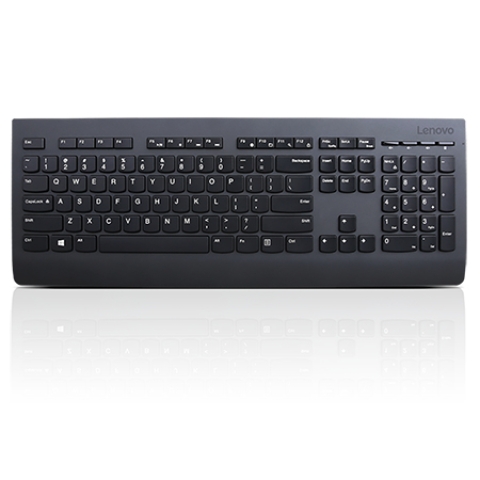 Lenovo Professional