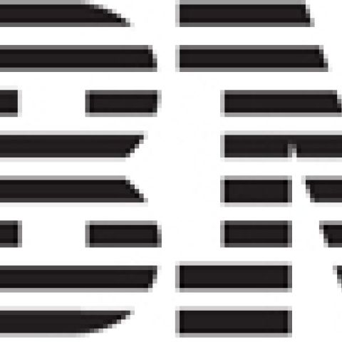 IBM 9009-22A serveur
