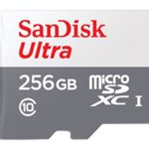 SanDisk Ultra 256 Go MicroSDXC UHS-I Classe 10