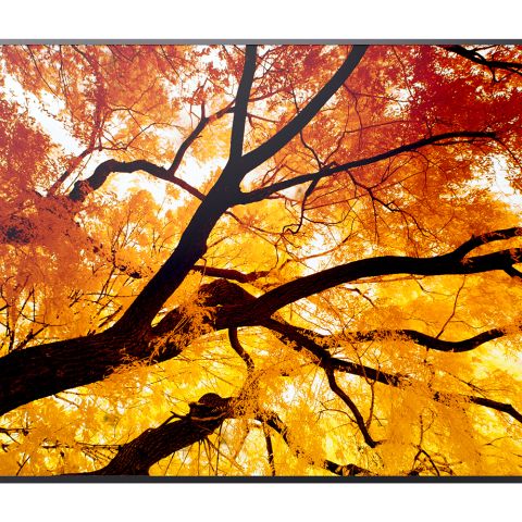 Sharp MultiSync M862 Écran plat de signalisation numérique 2,18 m (86") LCD 550 cd/m² 4K Ultra HD Noir 24/7