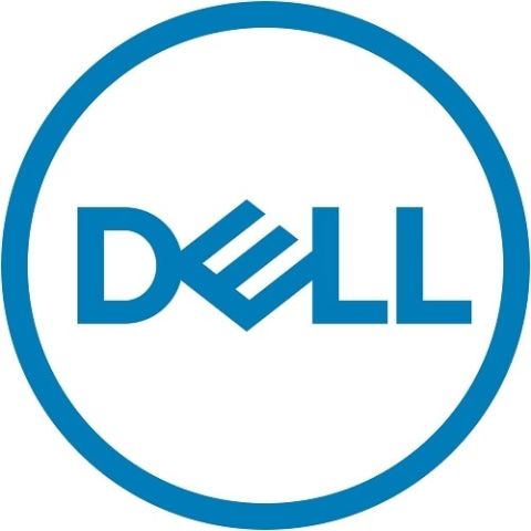 DELL 161-BBPH disque dur 3.5" 4000 Go NL-SAS