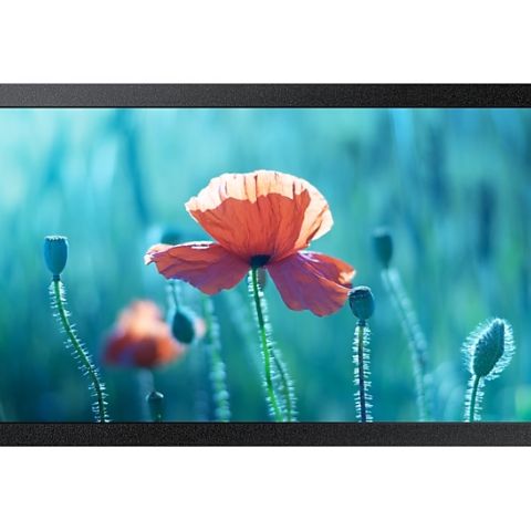 Samsung QB13R-M 33 cm (13") LED Wifi 500 cd/m² Full HD Noir Tizen 4.0