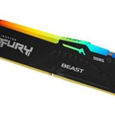 Kingston Technology FURY Beast module de mémoire 16 Go 1 x 16 Go DDR5 5600 MHz