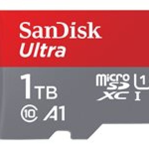 SanDisk Ultra 1000 Go MicroSDXC UHS-I Classe 10