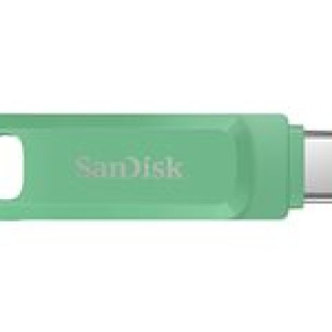 SanDisk Ultra Dual Drive Go USB 128GB lecteur USB flash 128 Go USB Type-A / USB Type-C 3.2 Gen 1 (3.1 Gen 1) Vert
