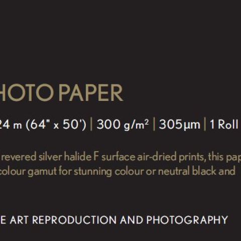 Epson Pap Photo Traditionnel 300g 64" x 15m