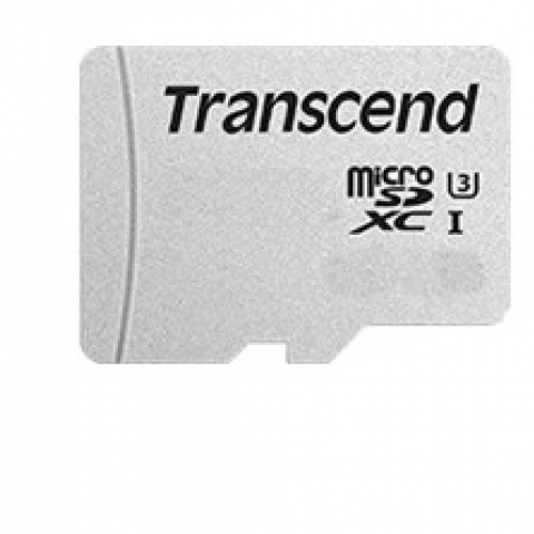 Transcend 300S