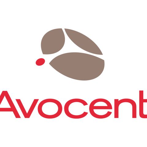 Vertiv Avocent SCNT-1YGLD-A-100PK licence et mise à jour de logiciel Base 100 licence(s)