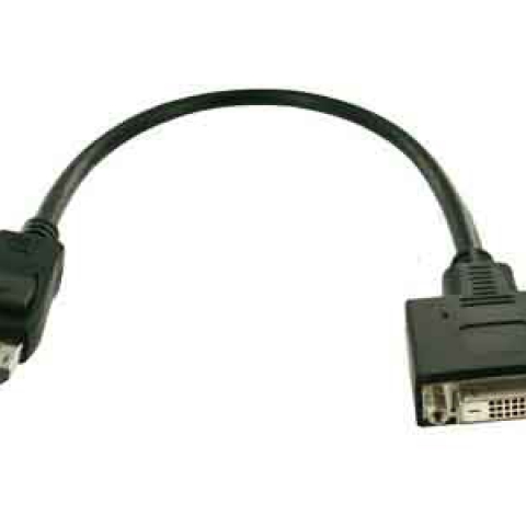 Fujitsu S26361-F2391-L200 câble vidéo et adaptateur DisplayPort DVI-D