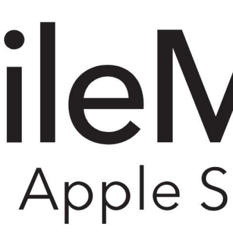 Filemaker FM170954LL licence et mise à jour de logiciel 1 année(s)