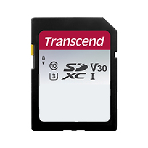 Transcend 300S