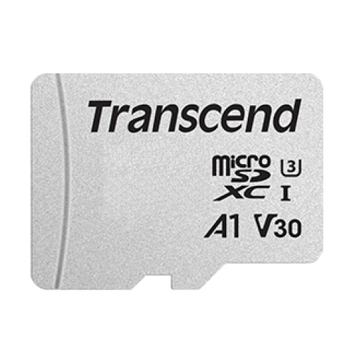 Transcend 300S