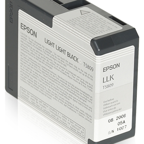 Epson T5809